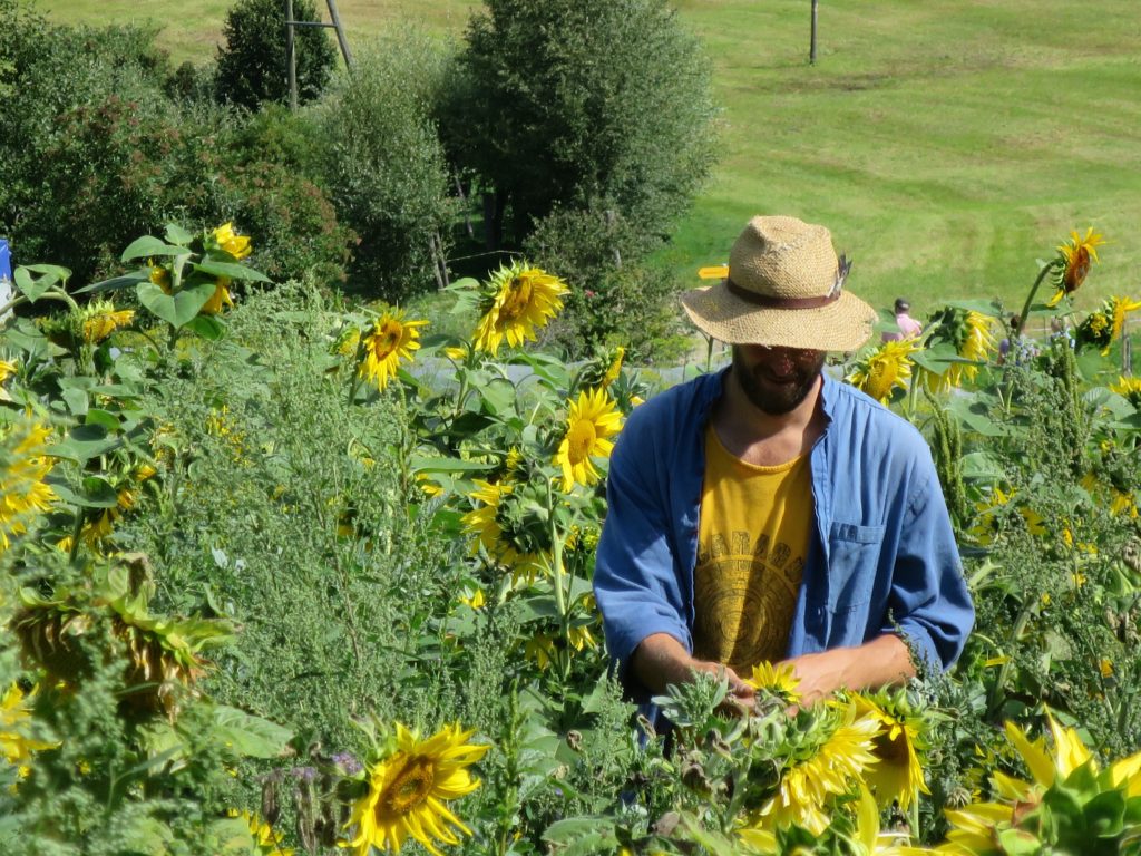 BerglandHof Ernen Garten Arbeiter